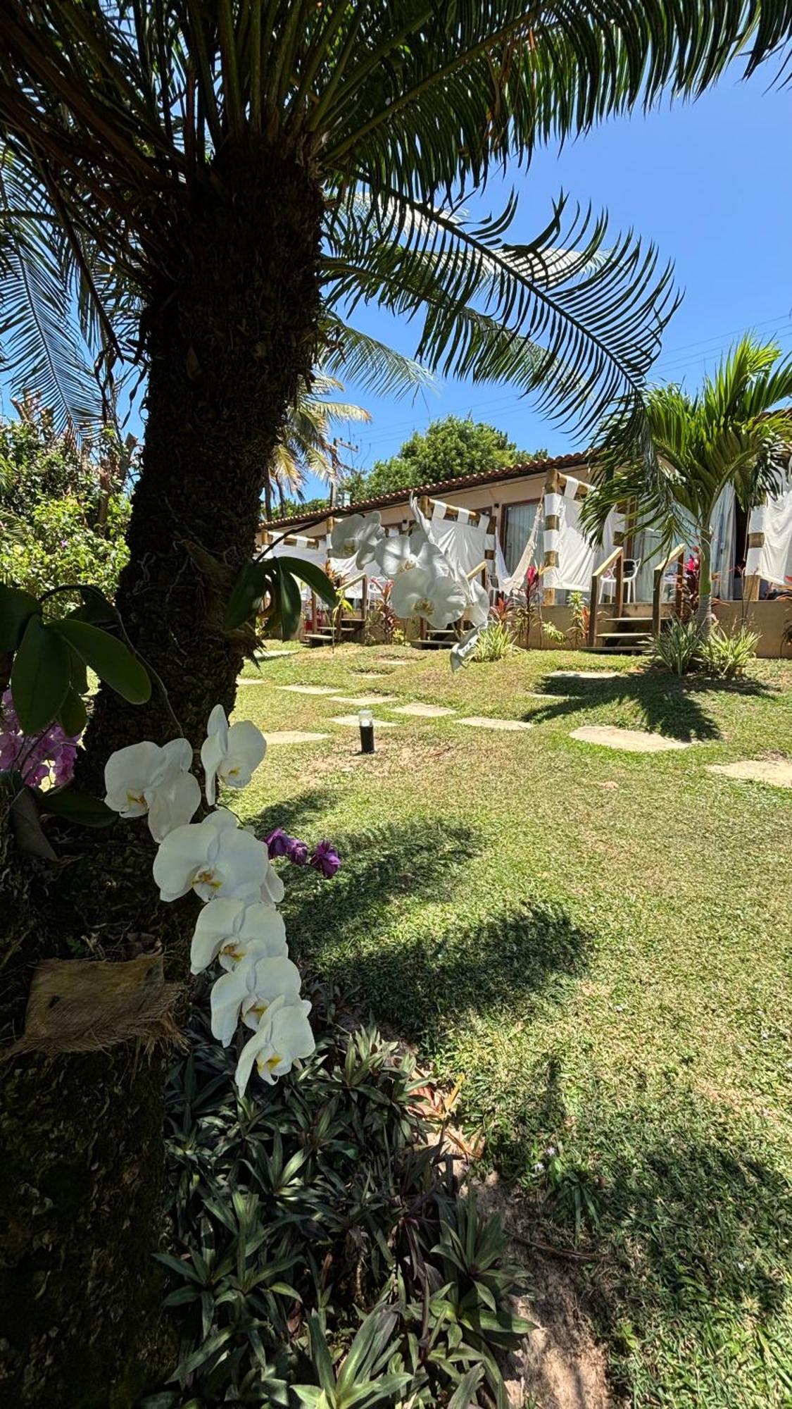 Hotel Da Pipa Praia de Pipa Ngoại thất bức ảnh