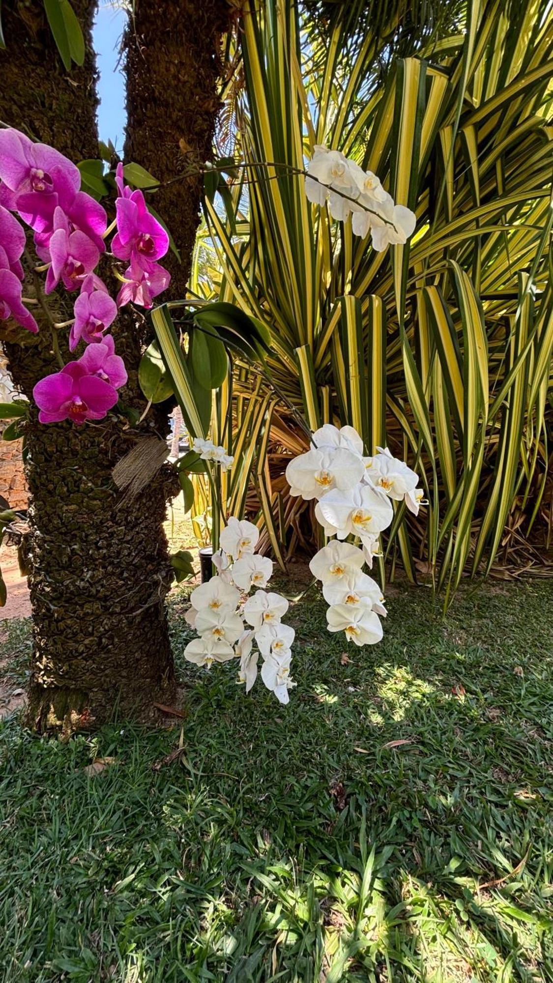 Hotel Da Pipa Praia de Pipa Ngoại thất bức ảnh