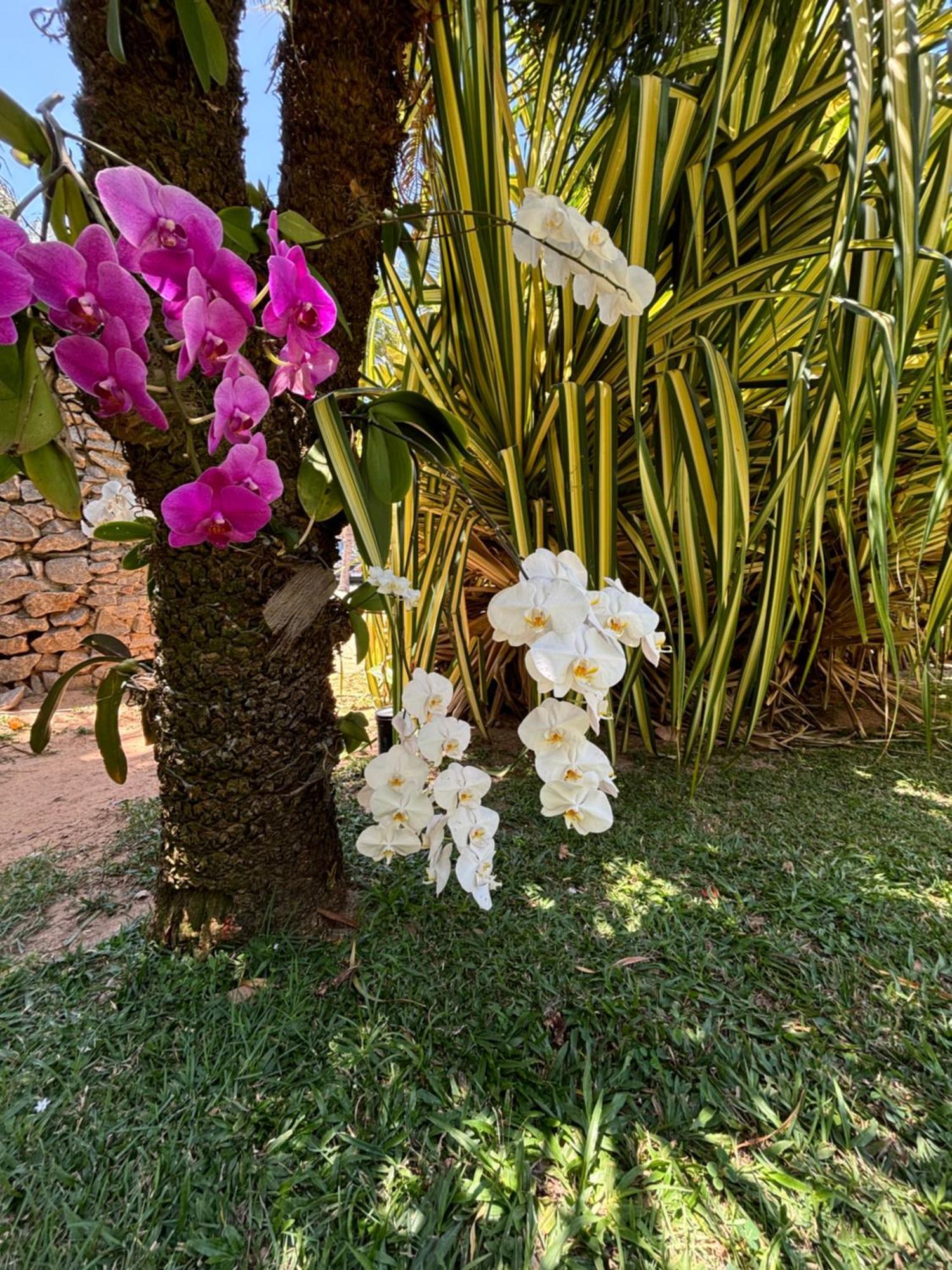 Hotel Da Pipa Praia de Pipa Ngoại thất bức ảnh